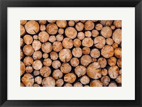 Framed Logs Print