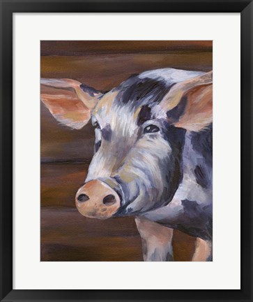 Framed Barn Pig Print