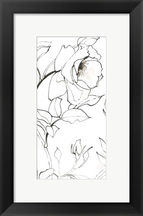 Framed Sketch of Roses Panel II Print
