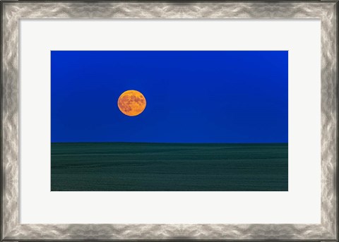 Framed Full Moonrise, Alberta, Canada Print