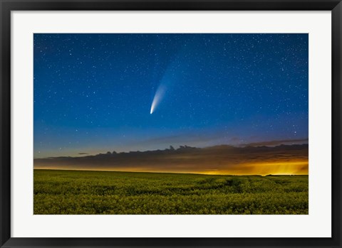 Framed Comet NEOWISE Over a Ripening Canola Field in Southern Alberta Print