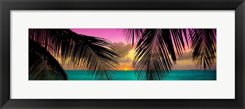 Framed Sun Palms Print
