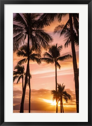 Framed Palm Trees At Sunset Of Maui, Hawaii Print