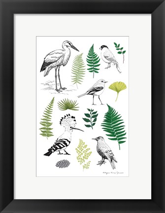 Framed Nature Chart I Print