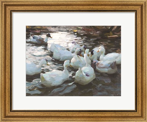Framed Ducks by the Lake 3 Print