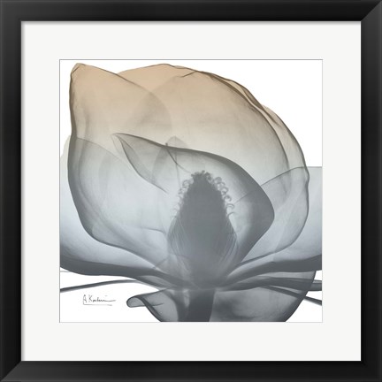 Framed Magnolia Earthy Beauty New Print