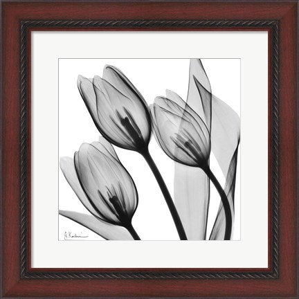 Framed Splendid Monotone Tulips Print