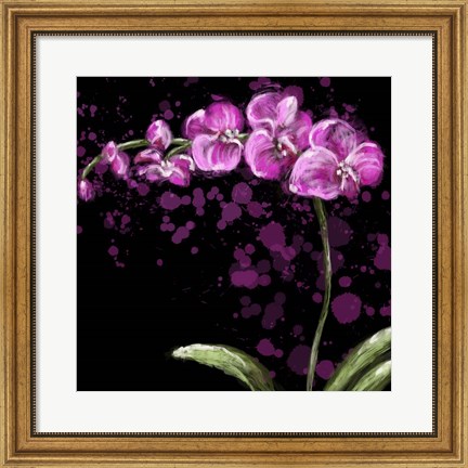 Framed Fuschia Orchid Print
