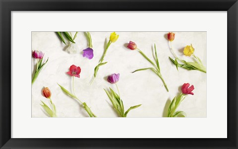 Framed Cut Tulips Print