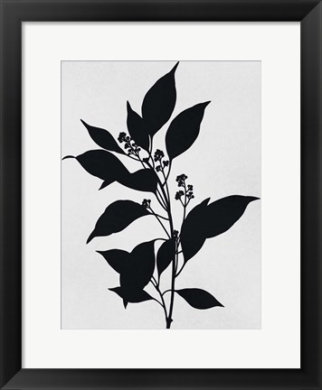 Framed Silhouetted Inverted Growth Print