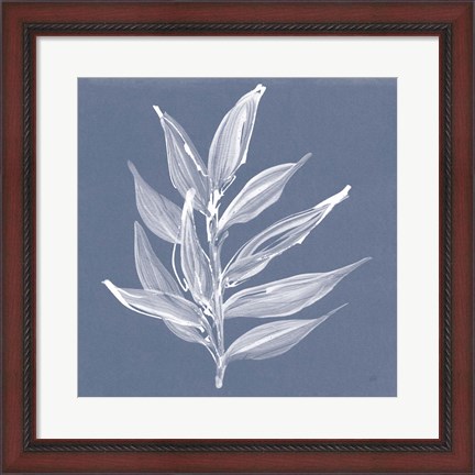 Framed Leaf Study IV Blue Print