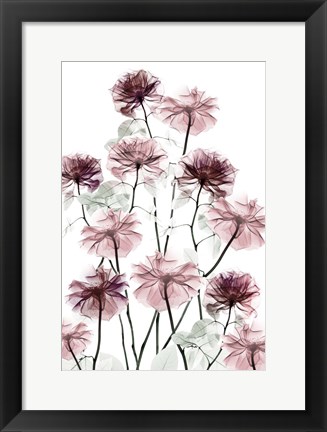 Framed Magnificent Flower Bed 2 Print