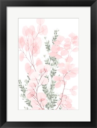 Framed Blushing Bouquet 2 Print