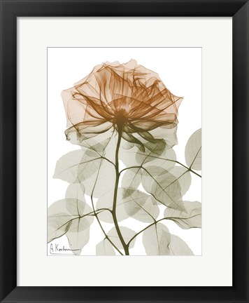 Framed Urban Jungle Rose 1 Print