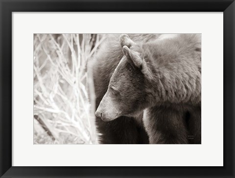 Framed Bear Tones Print