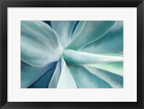 Framed Agave Print