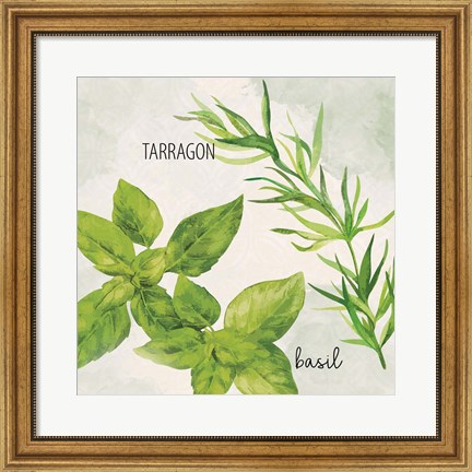 Framed Fresh Herbs 1 Print