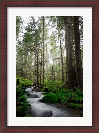 Framed Woodland Cascades Print
