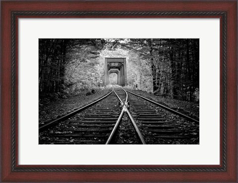 Framed White Mountain Autumn Monochrome Print