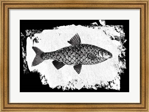 Framed Fish I Print
