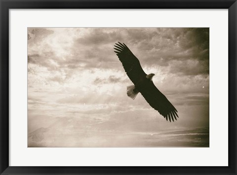Framed Sunray Eagle Print