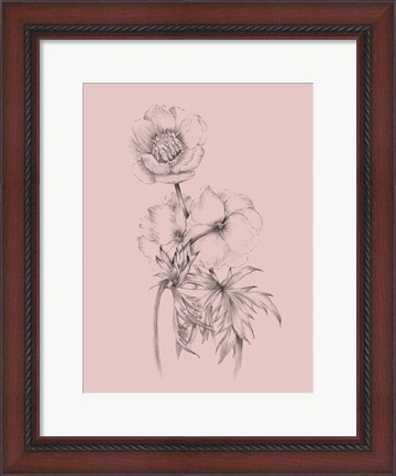 Framed Blush Pink Flower Illustration III Print