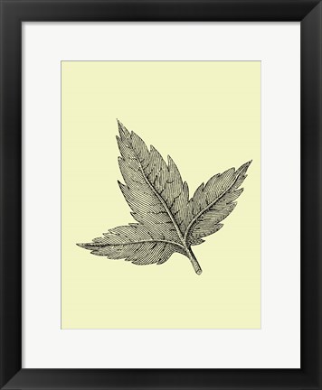 Framed Floating Leaf Print