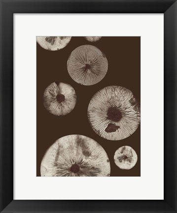 Framed Mushroom 5 Dark Brown Print