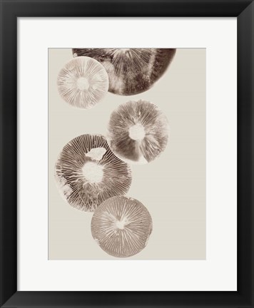 Framed Mushroom 6 Light Brown Print