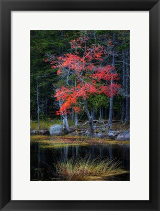 Framed Red Reflections I Print