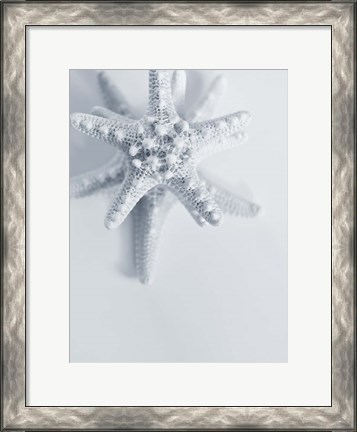 Framed Starfish Print
