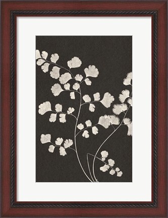 Framed Vintage Ferns III Print