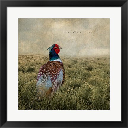 Framed Have a Very Pheasant Day Print