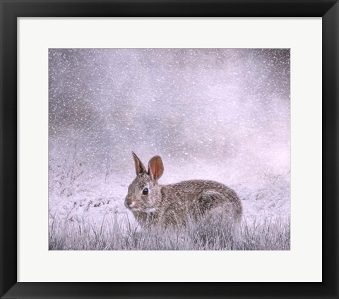 Framed Snow Hopper Print