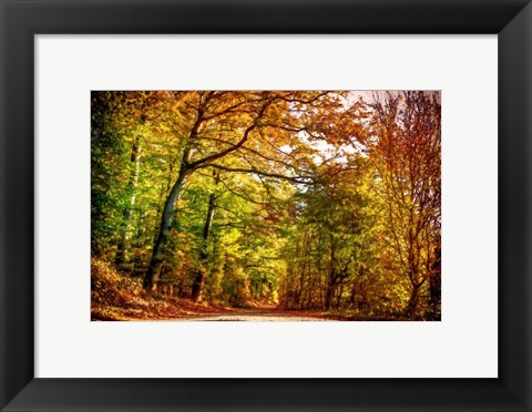 Framed Autumn Pathway Print
