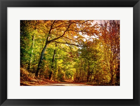 Framed Autumn Pathway Print