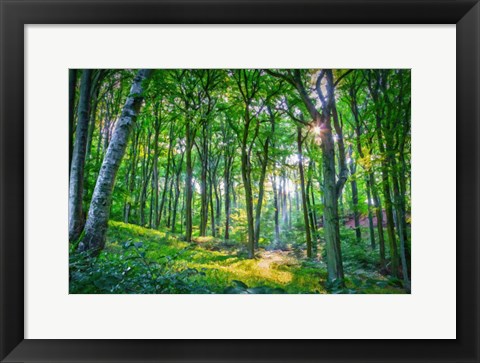 Framed Emerald Forest Print