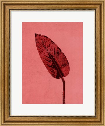 Framed Calathea Red Print