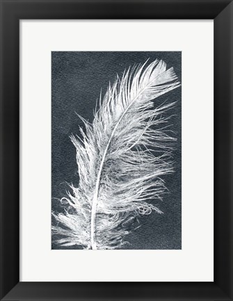 Framed Feather 1 Dark Print