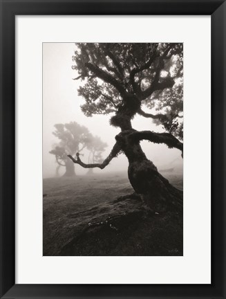Framed Forest Queen II Print
