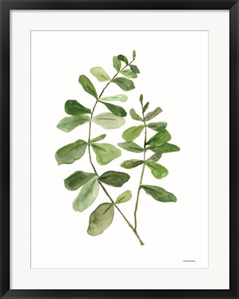 Framed Leafy Stem 2 Print
