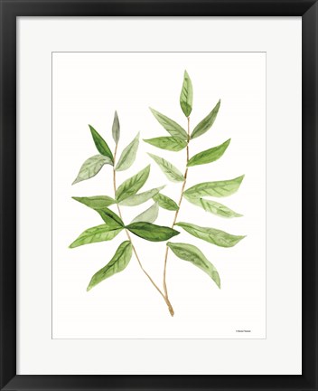 Framed Leafy Stem 3 Print
