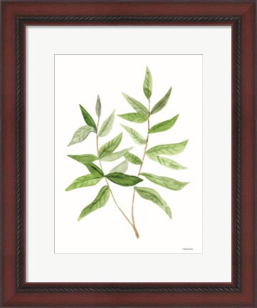 Framed Leafy Stem 3 Print