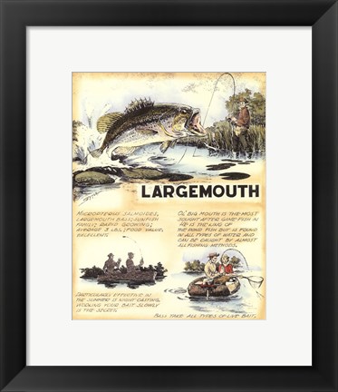 Framed Large Mouth Print