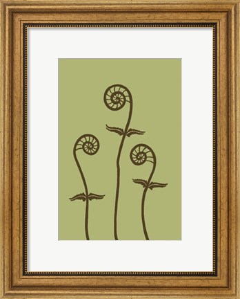 Framed Dichromatic Fiddleheads III Print