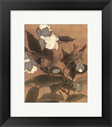 Framed Magnolia and Praying Mantis Print