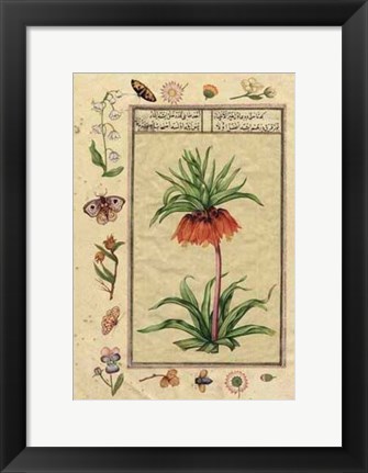 Framed India Nature Study I Print