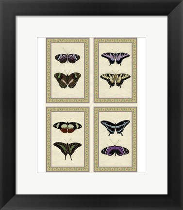 Framed Miniature Butterflies Print