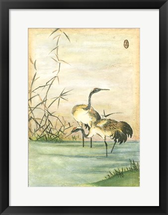 Framed Oriental Cranes II Print