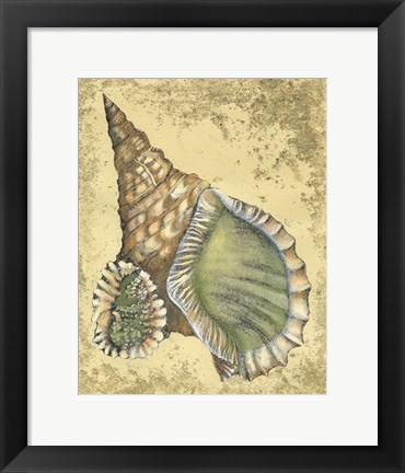 Framed Sand and Shells I Print
